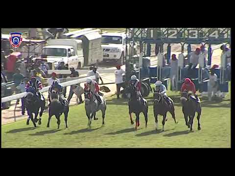 RM16 R5 | Lickerio | C.Gomez