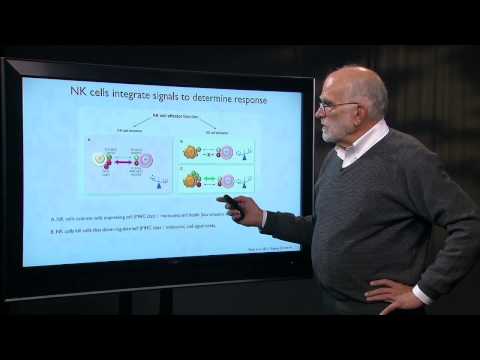 7.5 Cancer as an Evolutionary Process: Immune Evasion