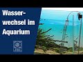 JBL Wasserwechselset ProClean Aqua In-Out