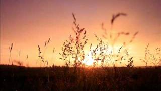 Near The Parenthesis _ Nidae