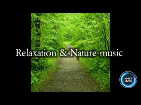 Relaxation & Nature music/Adeeb Music.