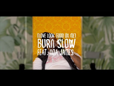 Burn Slow [Love Look Good on Me] - Noa James & NugLife
