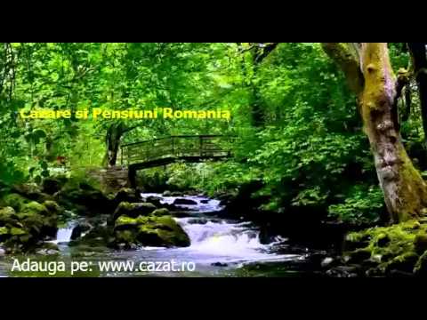 Cazare Patroaia Vale, Dambovita - Cazat.ro