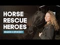 Horse Rescue Heroes | Season 2 | Episode 1 | Two Rescues