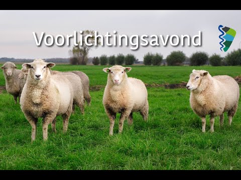 , title : 'Schapen & Geiten Voorlichtingsavond  | DGC Boven-Veluwe'