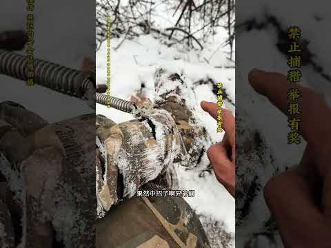 The Funiu Mountains are cold in winter#Outdoor#Survival in the wild#Having fun in the