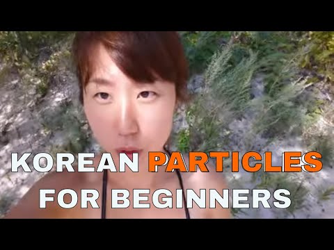 Learn Korean Particles (은,는,이,가 || 을, 를)