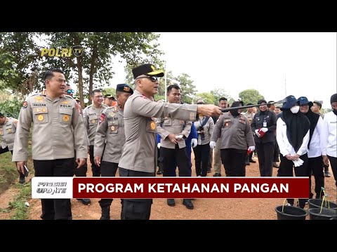 PRESISI UPDATE: PROGRAM KETAHANAN PANGAN POLDA BABEL HASILKAN 10 TON JAGUNG 08/02/2025 (15.00)