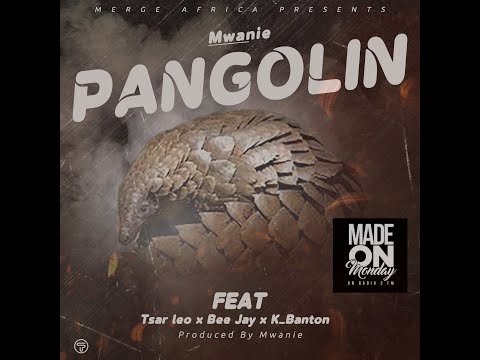 Mwanie -Pangolin Feat Tsar Leo X Bee Jay X K-banton