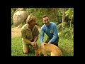 The Wiggles Wiggly Safari 2002 Part 8