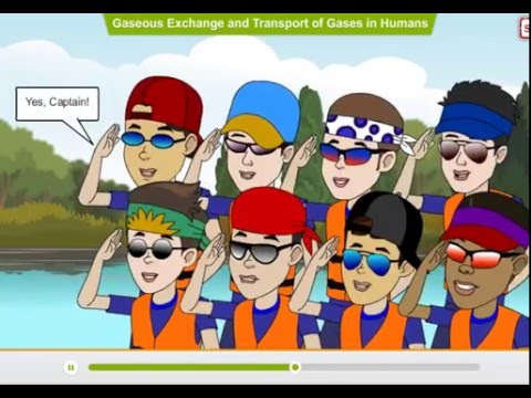 Learningport - Animated Introduction