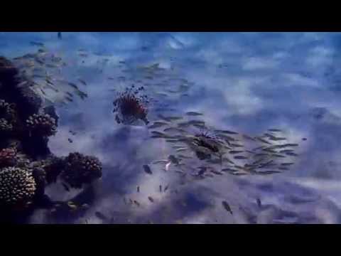 .......ПРОСТО ПОСМОТРИ......