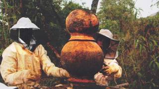 preview picture of video 'Kesogon Self Help Group Beekeeping Project: Peter Otengo'
