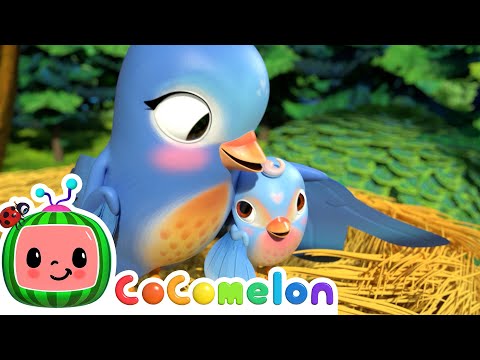 Five Little Birds Song | CoComelon Animal Time | Animals for Kids