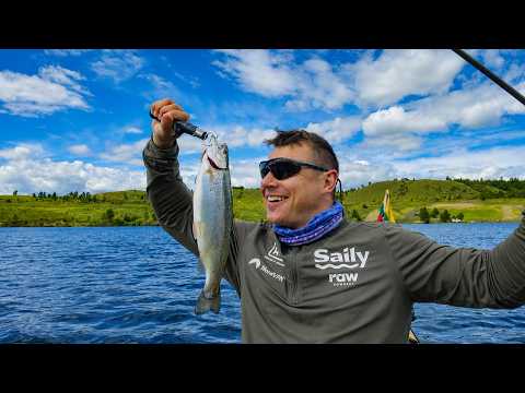 Vakarienei upėtakis! / Trout for dinner