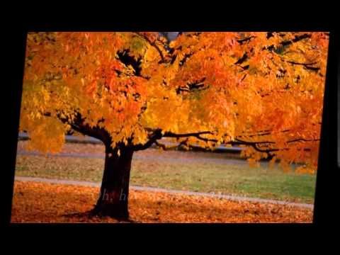 Thumbnail for Where I Met Jesus video