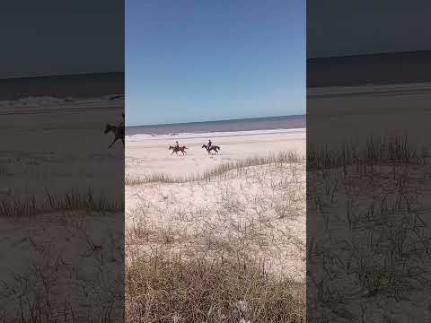 Las Toscas, Canelones, Uruguay. Rio de la Plata.
