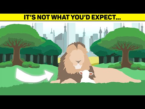 What will Heaven ACTUALLY be like? (Animation)