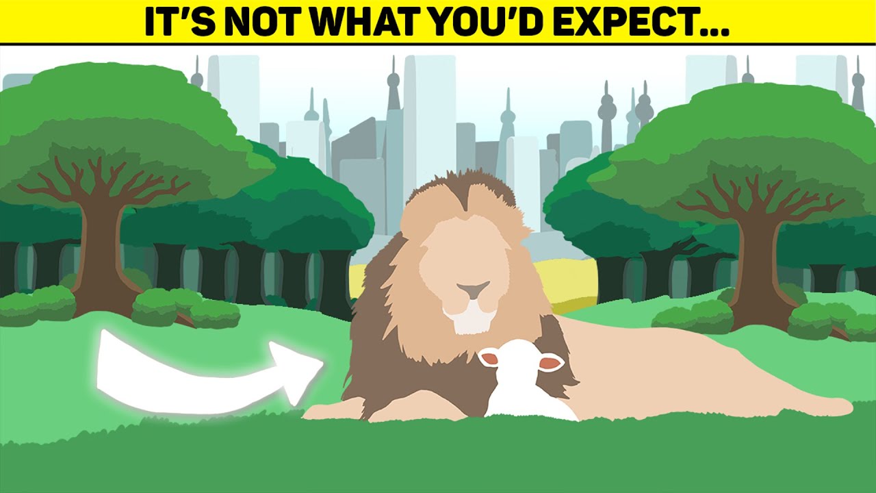 What will Heaven ACTUALLY be like? (Animation)