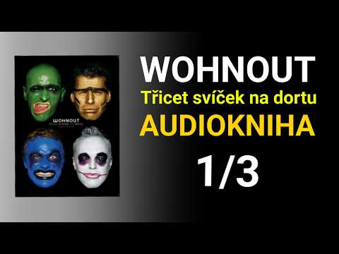 AUDIOKNIHA WOHNOUT - TŘICET SVÍČEK NA DORTU 1/3