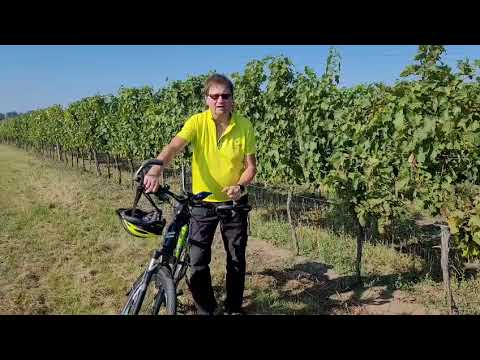 Extra Band revival - Mrákov [ DO ] 20.09.2025