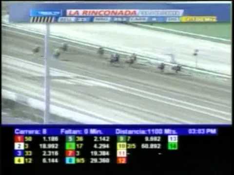 Resumen, Sabado 31 de Marzo de 2012 -La Rinconada