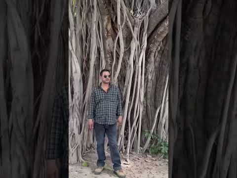 we are back with a new video of visiting unchagaon fort, bulandshahr. here is some