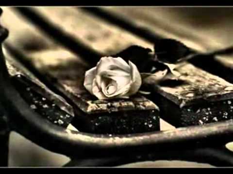 Lulja e Majit - Arben Sinanaj