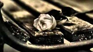 Arben Sinanaj - Lulja E Majit