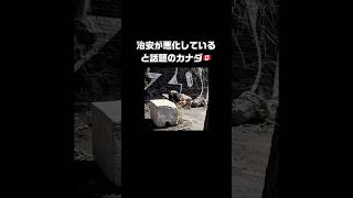 【カナダ治安】何故こうなった。街中で普通に薬物の取引。#カナダ #海外