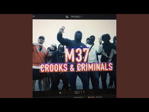 Crooks N Criminals