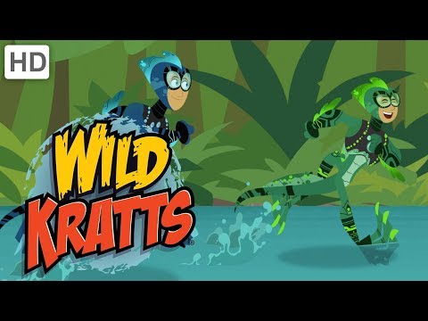 Wild Kratts - Pranks, Pools and Creature Power Fun!