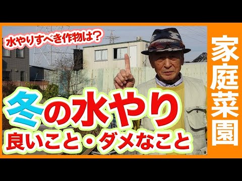 堆肥にはどれくらいの頻度で水をやるべきですか?パイル内の湿度を適切に管理するにはどうすればよいですか?  庭園