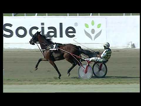 Napoli Trotto 01/10/2021 - 2ª corsa