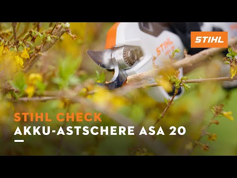 STIHL Check | Akku-Astschere ASA 20