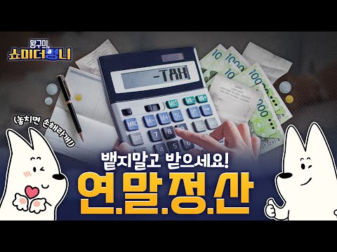 직장인 필수템! 연말정산 꿀팁 모았멍🐶 | 쇼미 더 멍니 | EP.01