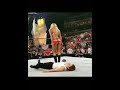 Wwe Trish Stratus Thong Slip