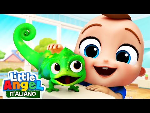 Il mio nuovo animale domestico! 🦎🌈 Cartoni Animati Con Gianni Piccino - Little Angel Italiano