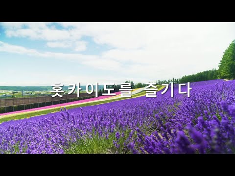 「한국어」홋카이도 겨울 즐기기