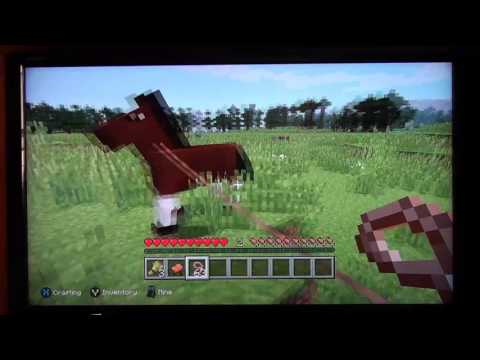 Pig, Horse or Donkey