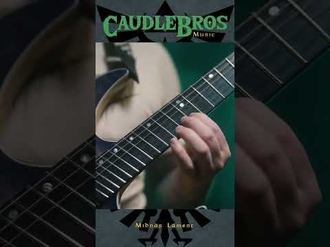 What's your favorite part of Twilight Princess? #nintendo #metal #vgm #guitar #zelda