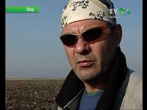 Natură şi aventură - Vânătoare de iepuri în jud  Timiş