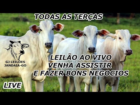 GJ LEILÕES - 03/03/2026-JANDAIA GOIAS #AGRO #AGRONEGOCIO #leilao #leilaodegado