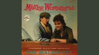 Mister Wonderful