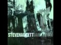 Steve Hackett - Darktown Riot 