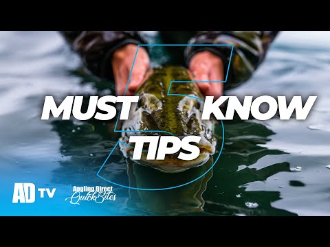 5 Top Pike Fishing Deadbait Tips To Catch More Pike