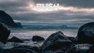 Bush - Superman (Acoustic)
