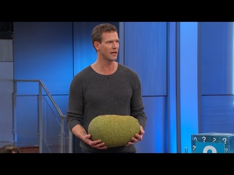 download lagu mp3 mp4 Buy Whole Jackfruit Uk, download lagu Buy Whole Jackfruit Uk gratis, unduh video klip Buy Whole Jackfruit Uk