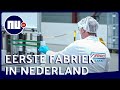 'Hollandse' mondkapjes in productie: 'Streven naar miljoen per week' | NU.nl