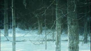 Paradigma - Come Winter (The Skadi Interpretation)